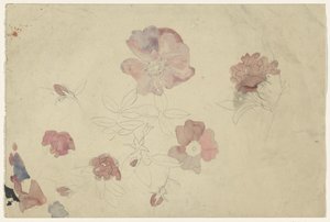 Flower Studies in Purple and Pink
