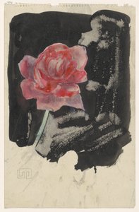 Red Rose