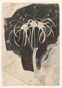 Study of Honeysuckle