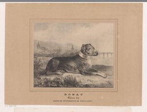 Dog Donau by Carel Christiaan Antony Last
