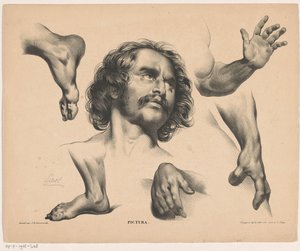 Head of a Man, Feet, Hands, and Arms by Carel Christiaan Antony Last