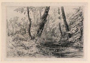 Souvenir of the Watercress Beds at Veules by Carel Nicolaas Storm van 