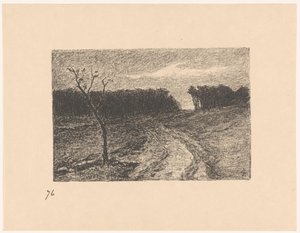 Forest Edge