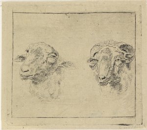Head of a Ram and Head of a Sheep