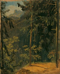 Forest Path in the Harz