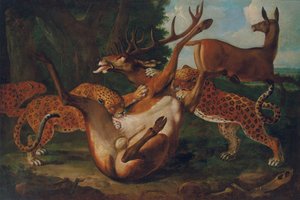 Leopards attacking deer in a landscape