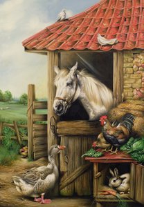 Farmyard Friends by Carl Donner