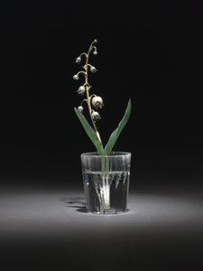 Lily of the Valley, late 1800s-early 1900s