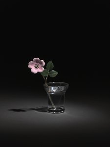 Wild Rose