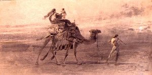 Travelling in the desert