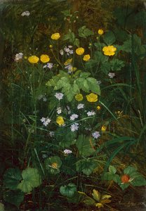 Buttercups and Forget-Me-Nots on a Forest floor by Carl Henrik Koch Moller