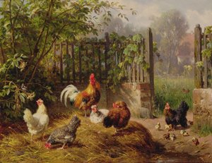 Rooster with Hens and Chicks