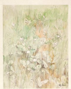 Kallor by Carl Larsson