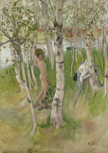Nude Boy among Birches