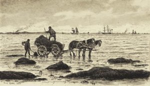 Farmers Driving Seaweed