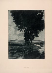 Black Poplars by Carl Maria Thuma