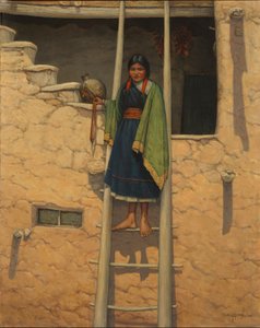 Hopi Stairway