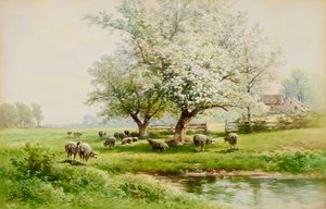Pastoral Landscape