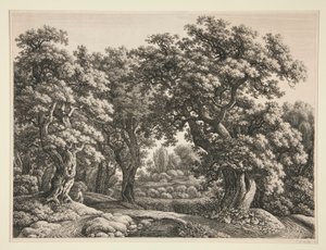 Forest Landscape by Carl Wilhelm Kolbe the elder