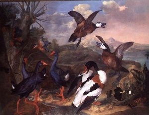Birds in a Landscape by Carl Wilhelm de Hamilton