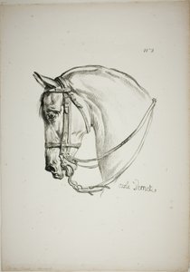 Detail of Horse