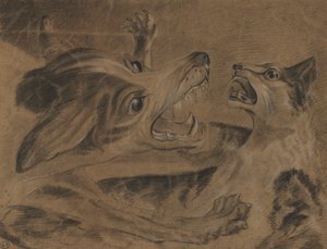 Fighting Animals