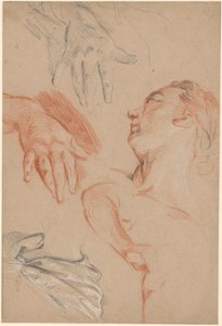 Study Sheet by Carle van Loo