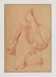 Studies of an Arm