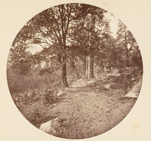 In the Yosemite Valley by Carleton Emmons Watkins