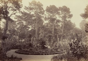 Arizona Garden, Hotel del Monte, Monterey by Carleton Watkins