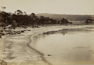Coast View near Monterey by Carleton Watkins