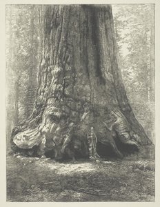 Copy of Carleton Watkins
