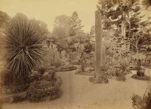 Monterey, California. Arizona Garden, Hotel Del Monte.