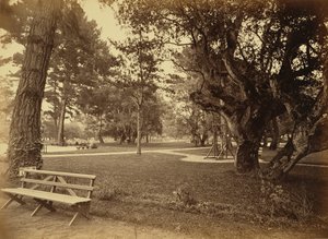 Monterey, California. Hotel Del Monte, Lawn View. by Carleton Watkins