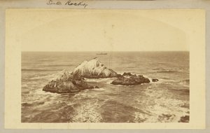 Seal Rocks by Carleton Watkins