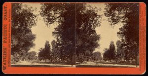 Tree-lined street view of San Gabriel, California