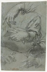 Studies of Hands by Carletto Caliari