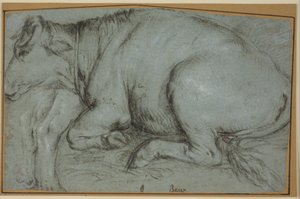 Recumbent Cow and Study for the Hind Legs of a Standing Cow