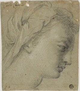 Female Head in Profile to Right by Carlo Cignani
