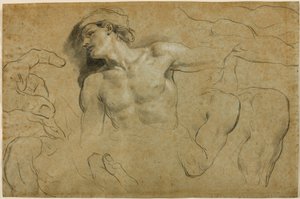 Studies of Hands, Shoulders and a Leg by Carlo Cignani