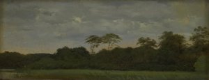 A Meadow by a Forest Lake