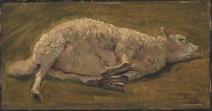 Study of a Lying Sheep by Carlo Dalgas