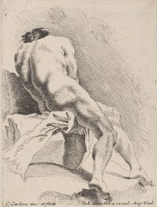 Academic Study, Seen from the Back