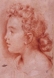Portrait of Faustina Maratti by Carlo Maratta
