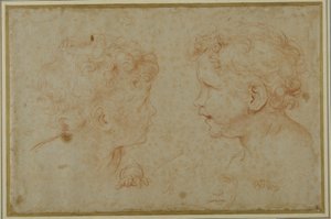 Studies of the head and left hand of a putto by Carlo Maratti