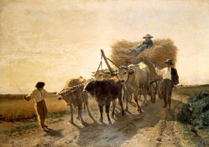 Harvest