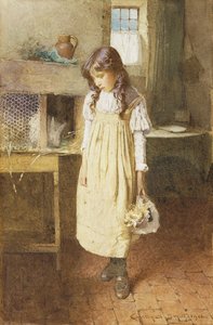 The Pet Rabbit