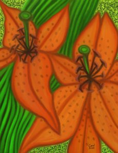 Two Lilies by Carol Sousa Cuello