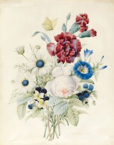 A Spray of Flowers Including a Rose, a Blue Convolvulus and Pansies