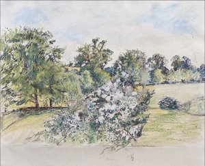 August from Our Window, 2007 by Caroline Hervey Bathurst